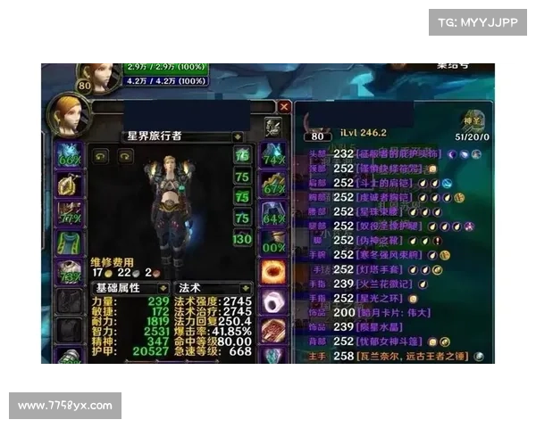 魔兽世界奶骑毕业技能装备攻略